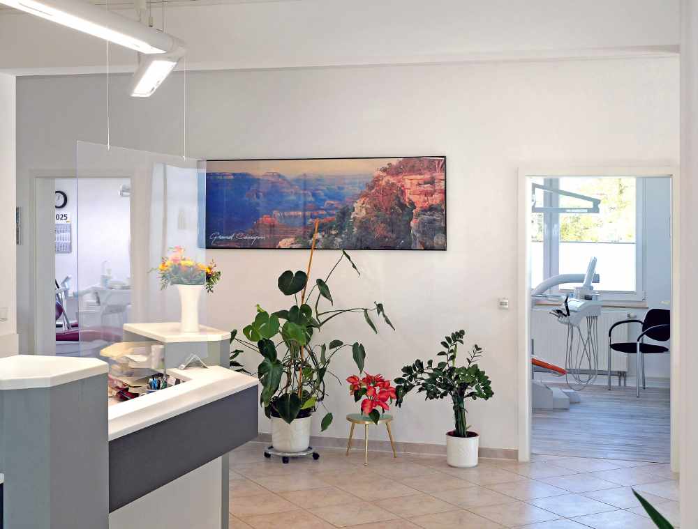 Heller Empfangsbereich mit Tresen, Zimmerpflanzen und Wandbild, Einblick in zwei Behandlungsräume.